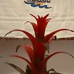 Belvedere Appartement *