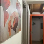 Belvedere Appartement